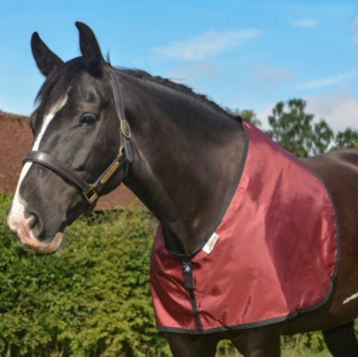 8 Reasons Why Bossy’s Bibs are an Essential Part of Your Horses Wardrobe