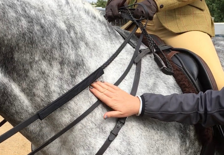 Bossy's Bibs ReinGuards: Protecting Your Horses Neck from Rein Rubs.