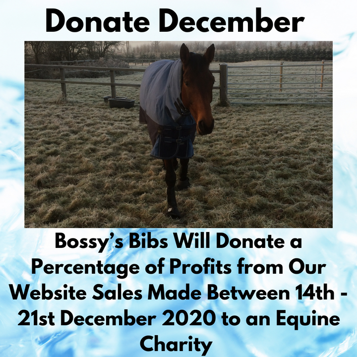 Donation December with Bossy's Bibs
