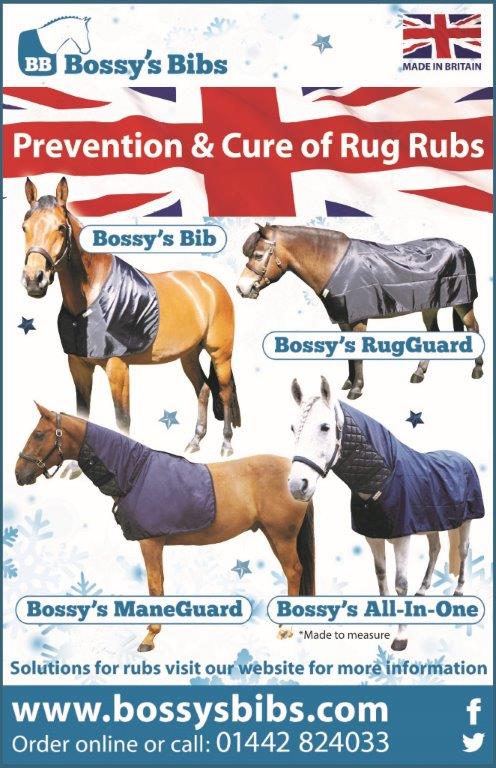 Why Your Horse May Benefit From a Rug Rub Prevention Product
