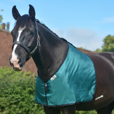 horse bib in green fabric for prevention and cure of hair loss on shoulders and withers caused by rug rubs