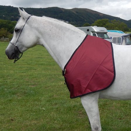 Bib designed with cutaway neck for Arab horse , silky layer protects horses shoulders, chest and wither from rug rubs, allows rubbed areas to regrow.