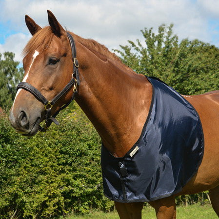 Horse Bib: Ultimate Guide to Comfort and Protection