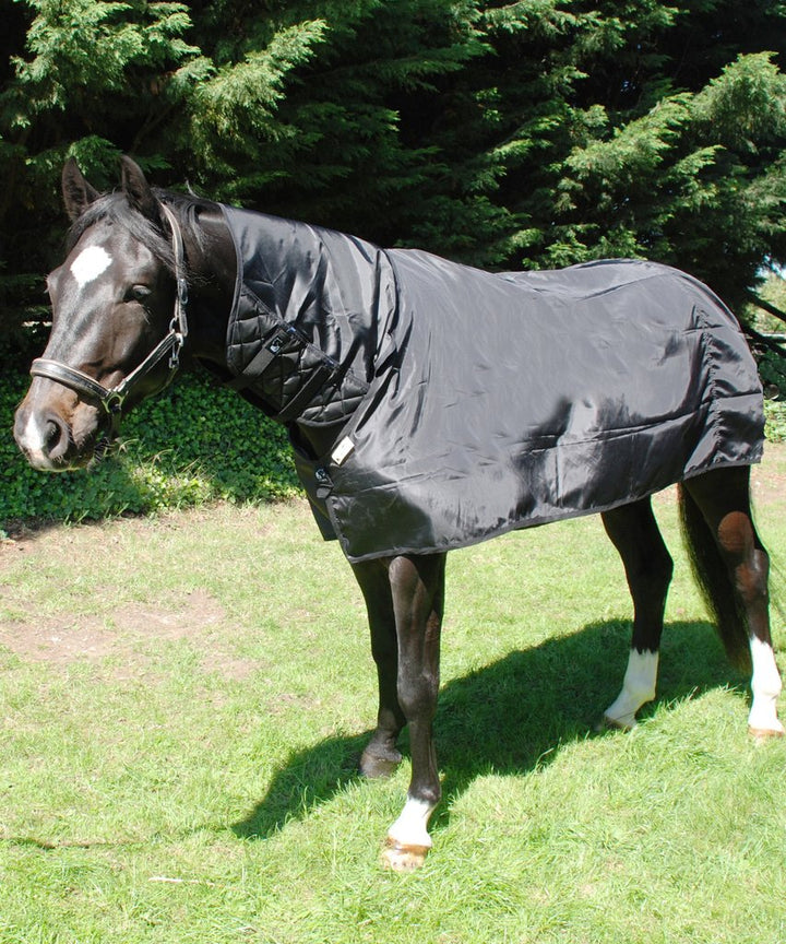 Keeping the Clipped Horse's Coat Healthy