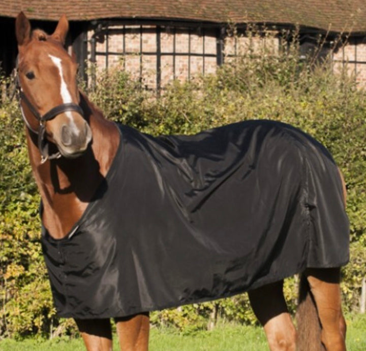 Showing Tips with Sponsored Rider and Top Show Horse Producer Helen Newbold