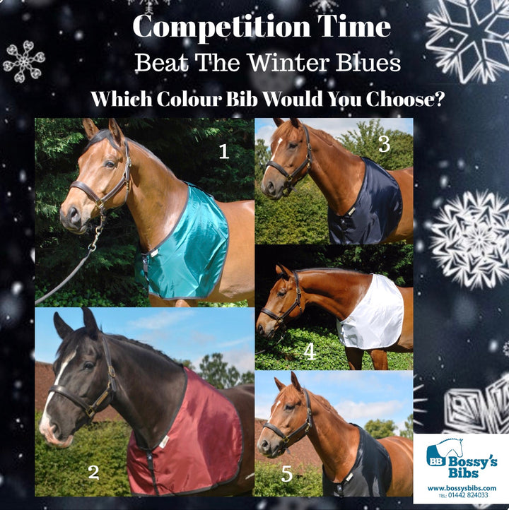 Facebook Competition! WIN WIN WIN Our World Renowned Bossy's Bib!