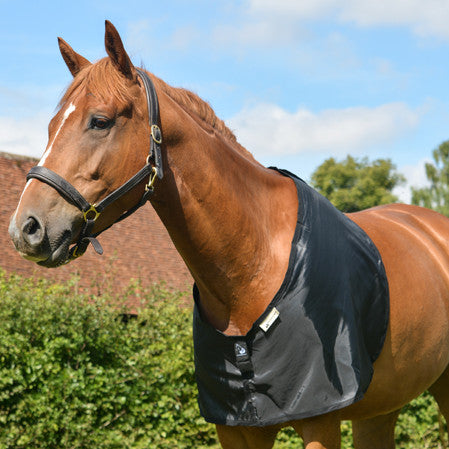 horse bib in black fabric for prevention and cure of hair loss on shoulders and withers caused by rug rubs