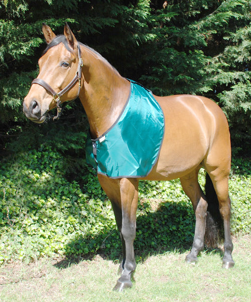 horse bib for prevention and cure of rug rubs, a shoulder guard to cure the rubs