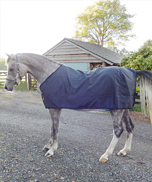 Rug designed with cutaway neck for Arab Horses, silky layer protects horses shoulders, chest and wither from rug rubs, allows rubbed areas to regrow.