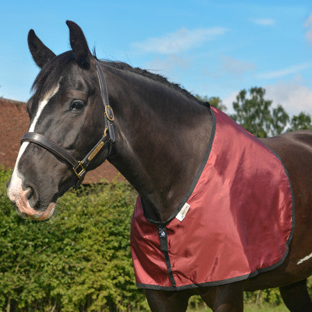 horse bib in Burgundy fabric for prevention and cure of hair loss on shoulders and withers caused by rug rubs