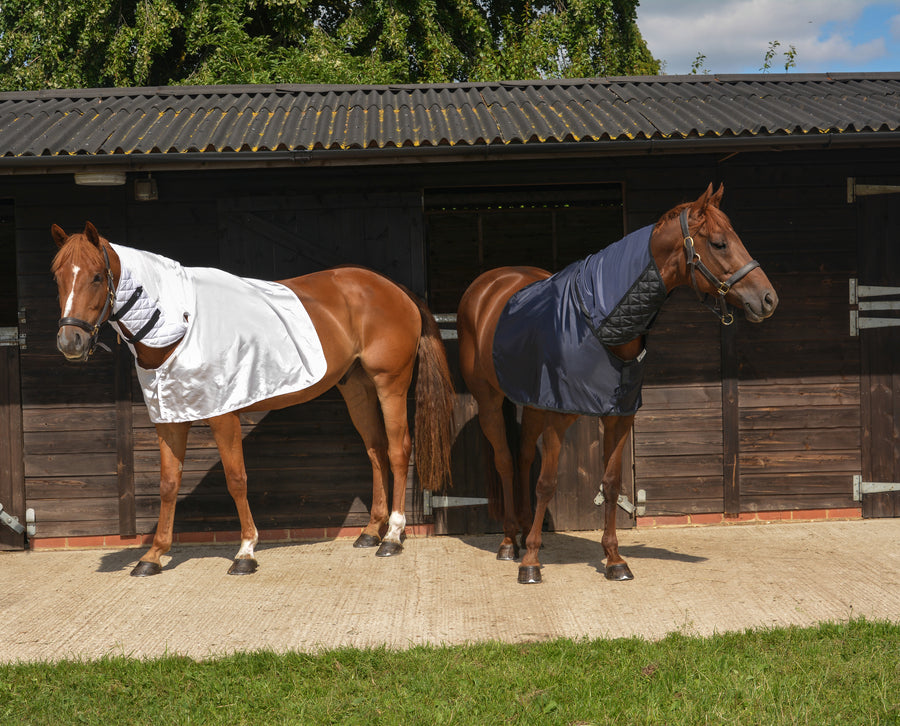 Bossy's Bibs ManeGuards smooth the mane and are very effective in the prevention of mane loss caused by full neck stable and outdoor rugs