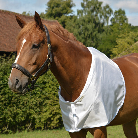 horse bib in white fabric for prevention and cure of hair loss on shoulders and withers caused by rug rubs